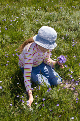 Child picking spring flowers