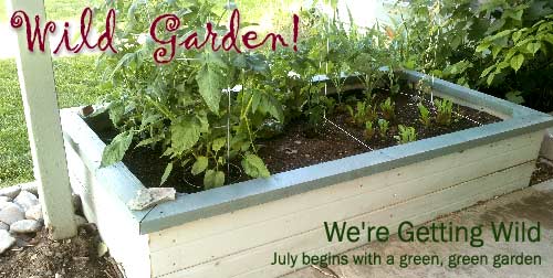 Wild Gardens for Busy Parents July