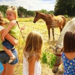 Kids meeting a horse