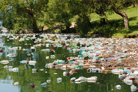 Shoreline plastic pollution