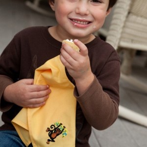 Fabkins reusable napkins for kids