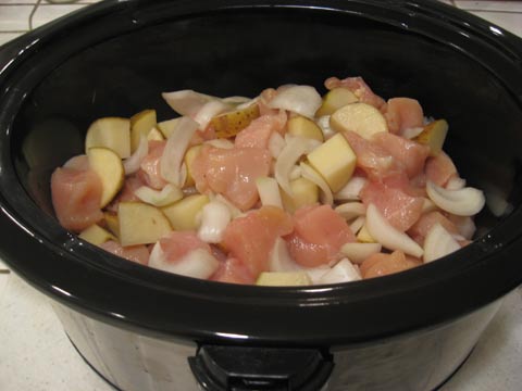 Curry ingredients in slow cooker