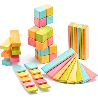 Tegu wooden toy blocks