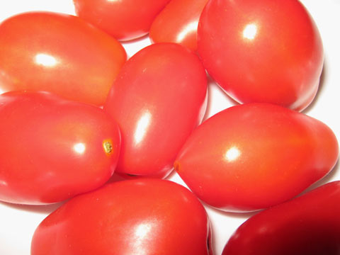 Roma tomatoes picked this morning